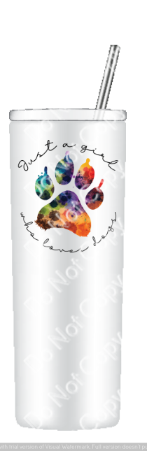 Just a girl who loves her dogs Drinkware